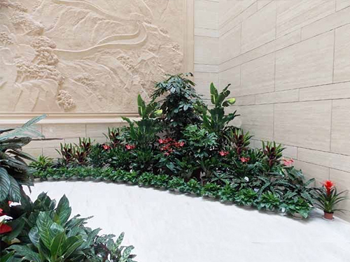 写字楼绿植租摆案例