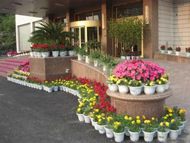 写字楼绿植租摆案例