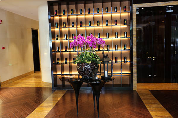 蝴蝶兰摆放案例