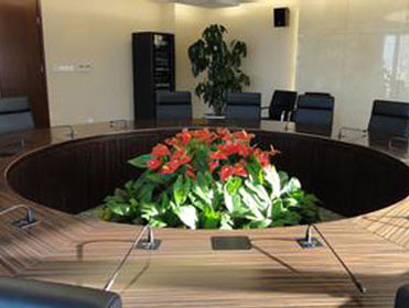 会议花卉租摆案例