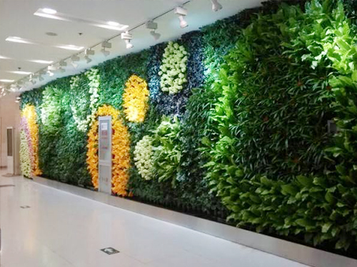 绿植墙