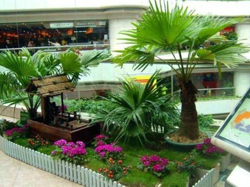 酒店绿植租摆案例