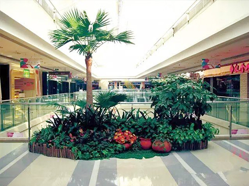 商场绿植租摆案例