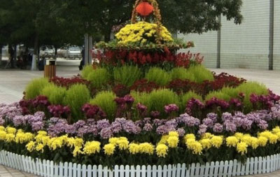 会议会展花卉租摆