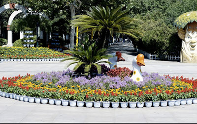 会议会展花卉租摆