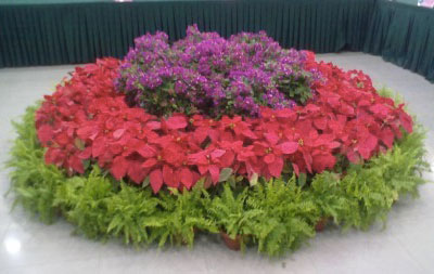 会议会展花卉租摆